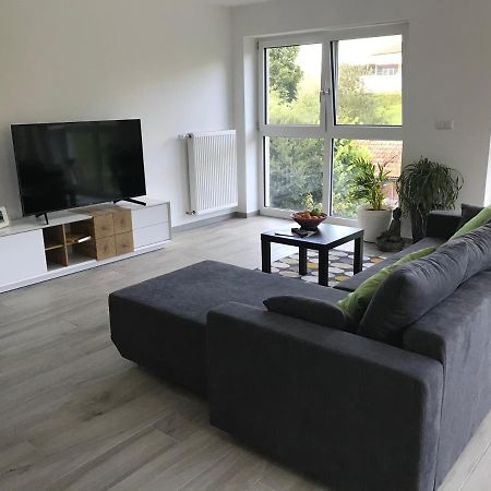 Ferienwohnung „Frosch“ Neukirchen-Balbini Dış mekan fotoğraf